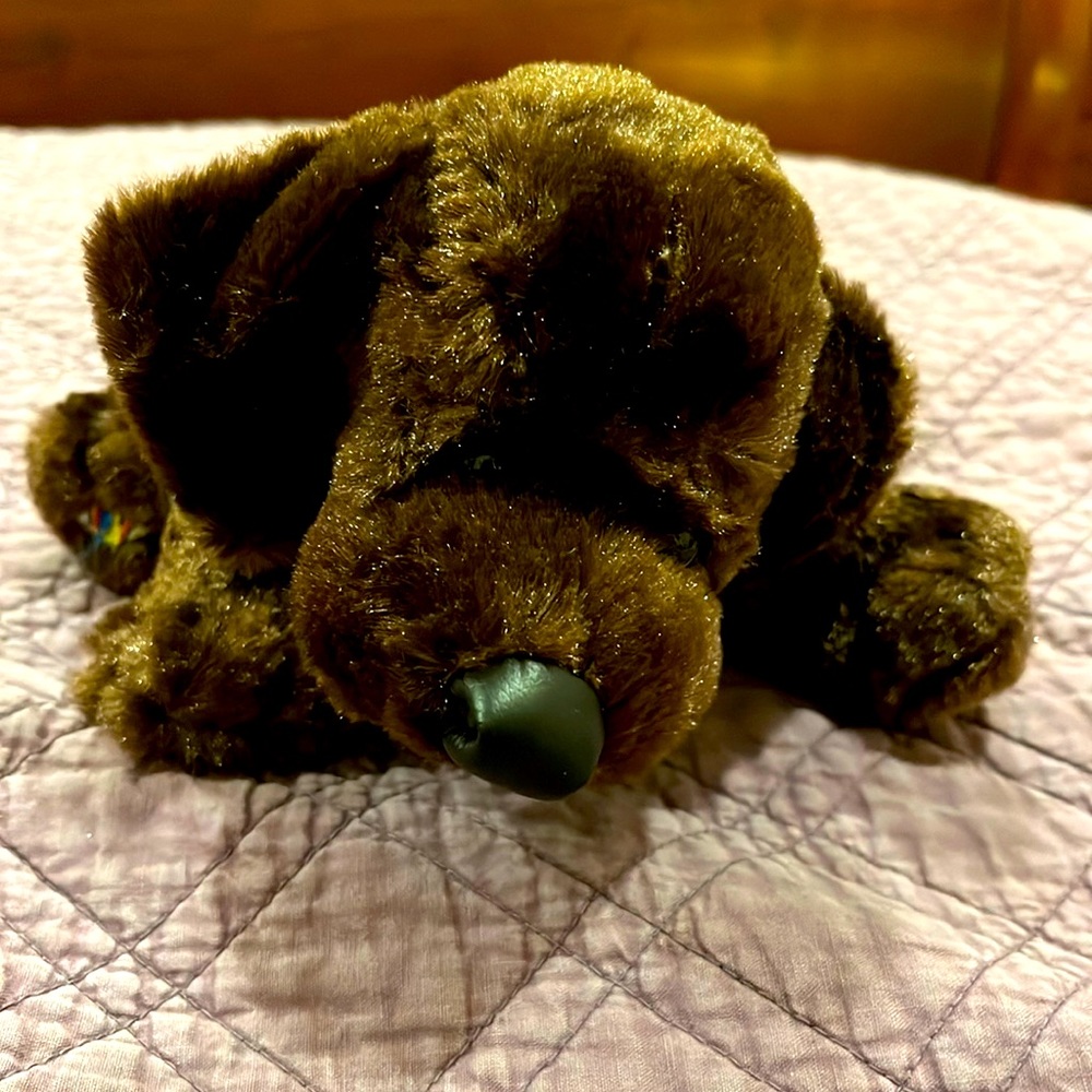 Soft and cuddly Webkinz Chocolate Lab.